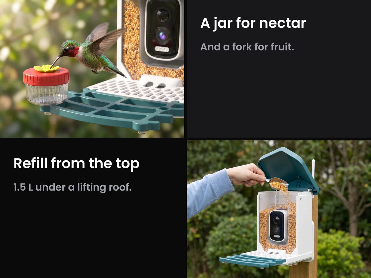 Happy Birdy Smart Bird Feeder with Camera